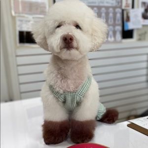 Meet your Posher, Ji won